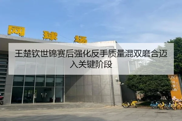 王楚钦世锦赛后强化反手质量混双磨合迈入关键阶段
