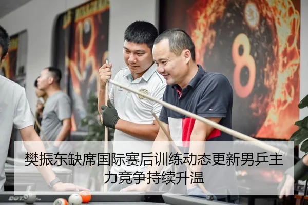 樊振东缺席国际赛后训练动态更新男乒主力竞争持续升温